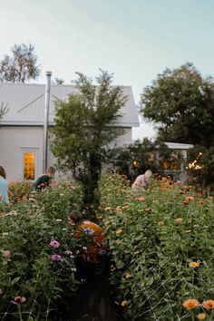 several people in a garden with many flowers