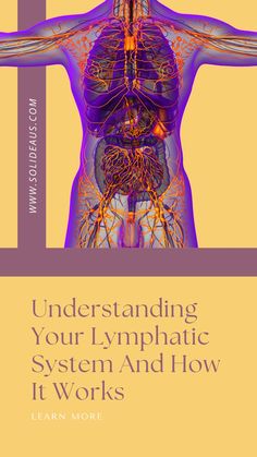 Have you ever wondered why you are swelling? What is primary lymphedema? What is secondary lymphedema? Get to know how your lymphatic system works. Learn lymphedema causes and why lymphatic health is extremely important. Lymph Glands, Constant Headaches, Human Body Unit, Turmeric Health, Lymph System, Health Podcast, Healthy Fruit, Back Pain Exercises, Circulatory System