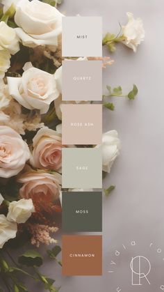 A color palette featuring soft earth tones: brown, moss green, sage green, muted rose, blush, and grey. These harmonious and natural hues create a soothing and elegant combination, perfect for branding, design projects, or weddings. Natural Sage Green Wedding, Sage Color Scheme Wedding, Blush Tone Bedroom, Small Nature Wedding Ideas, Wedding Color Palette Earth Tones, Soft Tone Color Palette, Green Earth Tone Wedding, Wedding Color Palette Elegant, Wellness Brand Colour Palette