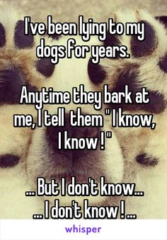 a dog laying down with its paw on top of it's head and the words i've been lying to my dogs for years anytime they bark at me, tell them