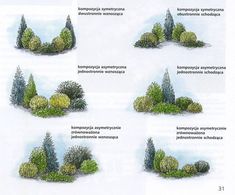 four different types of trees are shown in this diagram