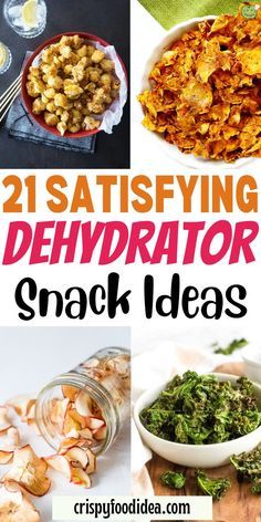 the cover of 21 savory dehydraator snack ideas, including broccoli and other foods