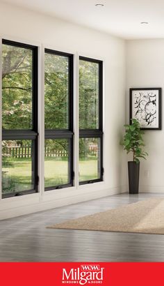 an empty room with three windows and a rug in front of the window, there is a potted plant on the floor