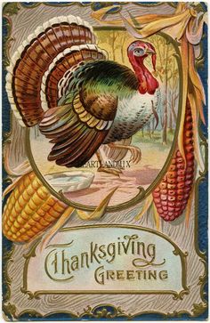 a thanksgiving greeting with a turkey and corn