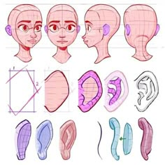 an image of various types of head and ear shapes in different stages of drawing technique