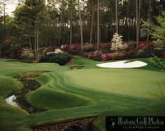 a golf course surrounded by trees and water