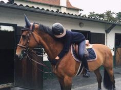 a person riding on the back of a brown horse in front of a white building