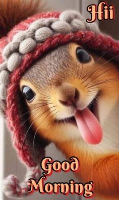 a squirrel wearing a knitted hat with its tongue hanging out and the words good morning written on it