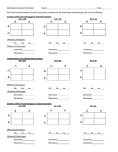 the worksheet for comparing two different types of numbers and shapes in this worksheet