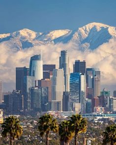 the city is surrounded by palm trees and snow capped mountains in the distance, with low lying clouds