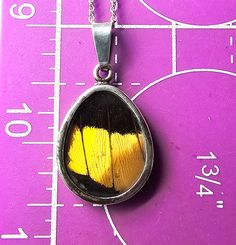 Yellow and black butterfly wing genuine sterling silver vintage pendant. Good used condition with little to no signs of normal wear. These beautiful pendants feature a single butterfly wing pressed between two pieces of glass and framed in sterling silver. Comes with sterling silver box chain. Acid tests positive for sterling silver. Necklace measures 18 inches long Pendant measures 1 and 1/2 inches tall and 7/8ths of an inch wide. Sterling Silver Butterfly Necklace For Formal Occasions, Formal Sterling Silver Butterfly Necklace, Vintage Silver Necklace With Butterfly Charm, Silver Butterfly Jewelry For Collectors, Vintage Silver Jewelry With Butterfly Charm, Unique Sterling Silver Butterfly Necklace, Yellow Black Butterfly, Single Butterfly, Beautiful Pendants