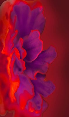 a red and purple flower is in the middle of an abstract photo with dark background