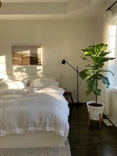 a bed with white linens and pillows in a bedroom next to a potted plant