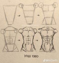 Man Anatomy Sketch, Drawing Tutorial Bodys, Men Body Shape Drawing, Male Body Tutorial Drawing Step By Step, How To Draw The Male Body Anatomy, How To Draw Male Body Anatomy, How To Draw Man Anatomy, Men Body Drawing Tutorial, Guys Body Drawing