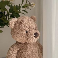 a brown teddy bear sitting next to a potted plant with white flowers in it