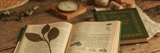 an open book sitting on top of a wooden table next to a clock and other items