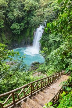 a wooden walkway leading to a waterfall in the jungle with blue water and lush greenery