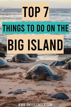 Here are the 7 best things to do on the Big Island. This list of the best things to do in Hawaii has the best things to do in Kona, best things to do in Hilo, and even best things to do in Volcanoes National Park. If you're planning a Big Island vacation or Hawaii vacation, make sure to save these Hawaii travel tips. Big Island vacation tips, Big Island activities, things to do on the Big Island of Hawaii Island Of Hawaii Things To Do, Things To Do In Hawaii Big Island, Best Things To Do On The Big Island, Big Island Bucket List, Best Restaurants Big Island Hawaii, Family Trip To Hawaii, Hawaii Big Island Bucket List, Hawaii Big Island Things To Do