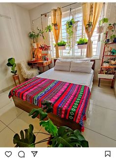 a bed sitting in a bedroom next to a window with potted plants on it