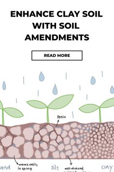 the diagram shows how to use clay soil for plants and other things that can be used in