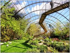 the inside of a large greenhouse with lots of plants and animals in it's yard