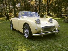 an old yellow sports car is parked on the grass in front of some trees and bushes