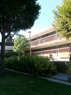 a man standing in front of a tall building next to a lush green park filled with trees