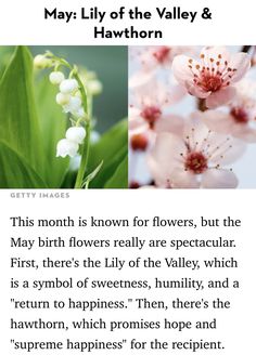 an image of flowers with the words may lily of the valley and hawthorne