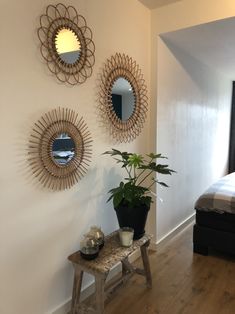 three circular mirrors are hanging on the wall above a small table with a potted plant