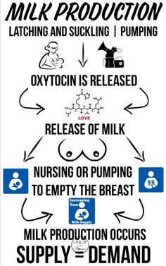 the milk production process is depicted in this diagram, which shows how to use it