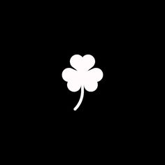 a four leaf clover on a black background