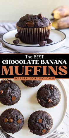 Make these Chocolate Banana Muffins for the best homemade breakfast idea! This banana muffin recipe is also a great addition to your back-to-school food ideas for the kids. Save this pin! Espresso Banana Muffins, Banana Chocolate Chip Muffins With Protein Powder, Chocolate Banana Chocolate Chip Muffins, Back To School Muffins, Banana Muffins With Pancake Batter, Easy Chocolate Muffins 3 Ingredients, Muffin Recipes With Bananas, Banana Choc Muffins, Easy Small Breakfast Ideas