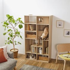 a living room filled with furniture and a cat sitting on top of a book shelf