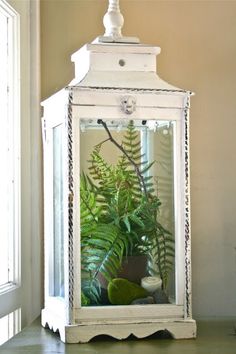 a plant in a glass case on top of a table