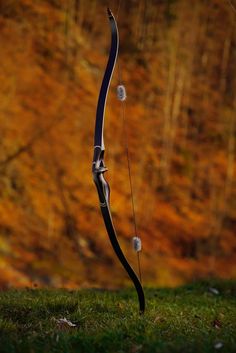 a bow and arrow in the grass with trees in the background