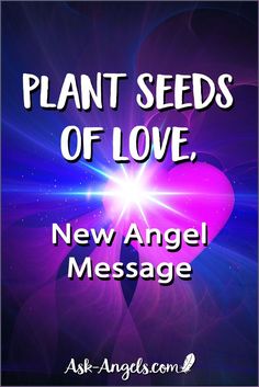 the words plant seeds of love, new angel message