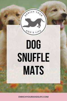 two puppies sitting in the grass with text that reads, which your dog snuffle mats?