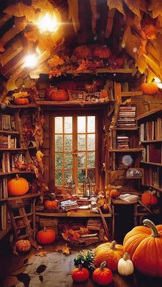 a room filled with lots of pumpkins and books on the shelves next to a window