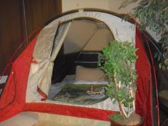 a red and white tent sitting next to a potted plant