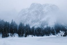 a snow covered mountain in the distance with trees on both sides and foggy skies above