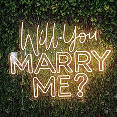 a neon sign that says will you marry me? on top of a green wall