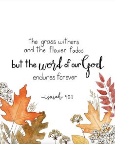 the grass withers and the flower fadess but the word of our god