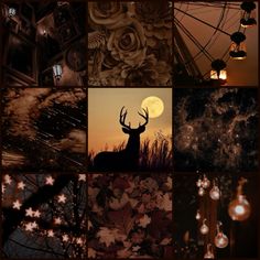 a collage of photos with deer, flowers and lights in the dark night sky