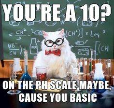 a white cat wearing glasses in front of a blackboard with flasks and beakers