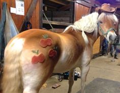 two horses with hearts painted on their faces in a barn area, one horse is wearing a cowboy hat