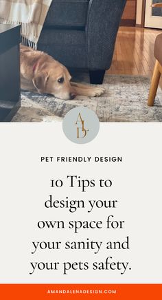 a dog laying on the floor in front of a couch with text that reads, pet friendly design 10 tips to design your own space for your