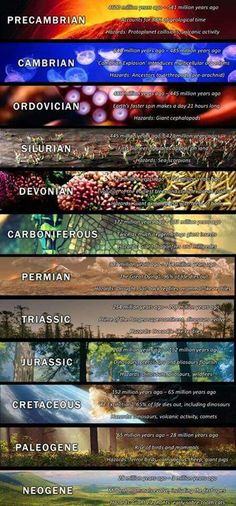 a poster with different types of trees in it