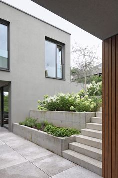 an outdoor area with concrete steps and plants on the side, along with large windows