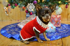 a small dog wearing a red and white sweater sitting in front of a christmas tree