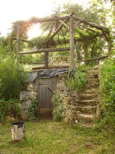 an outdoor area with steps and a wooden structure in the middle, surrounded by greenery